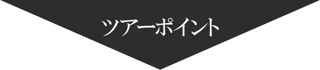 ツアーポイントの見出し